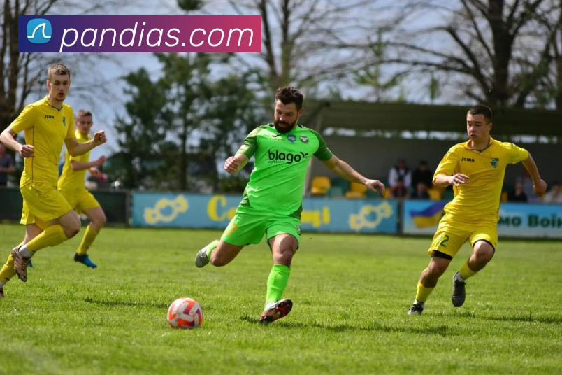 开元网页版平台生态图